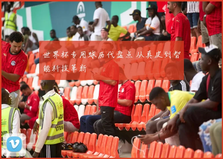 世界杯专用球历代盘点 从真皮到智能科技革新