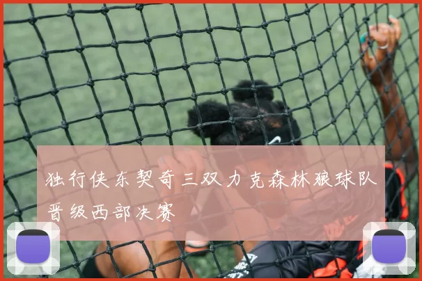 独行侠东契奇三双力克森林狼球队晋级西部决赛