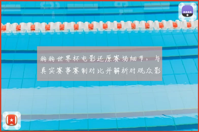 狗狗世界杯电影还原赛场细节，与真实赛事赛制对比并解析对观众影响