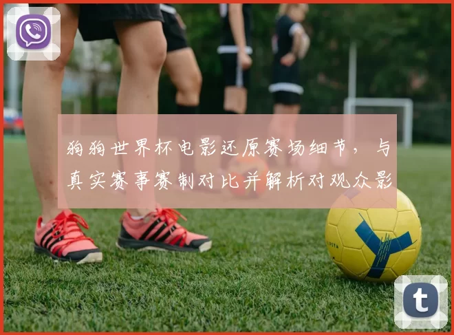 狗狗世界杯电影还原赛场细节，与真实赛事赛制对比并解析对观众影响