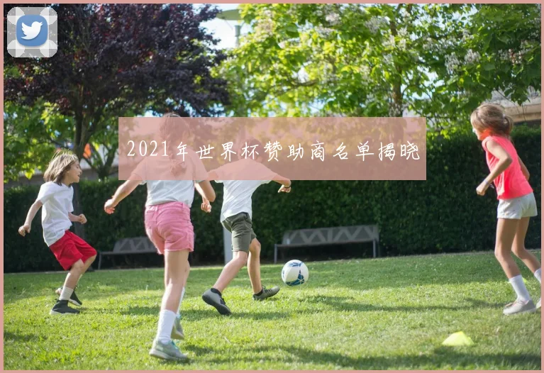 2021年世界杯赞助商名单揭晓