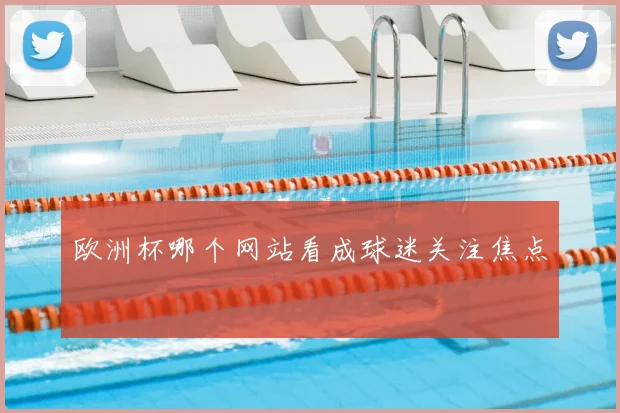欧洲杯哪个网站看成球迷关注焦点