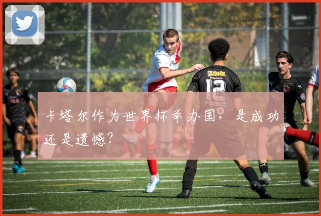 卡塔尔作为世界杯举办国,是成功还是遗憾?