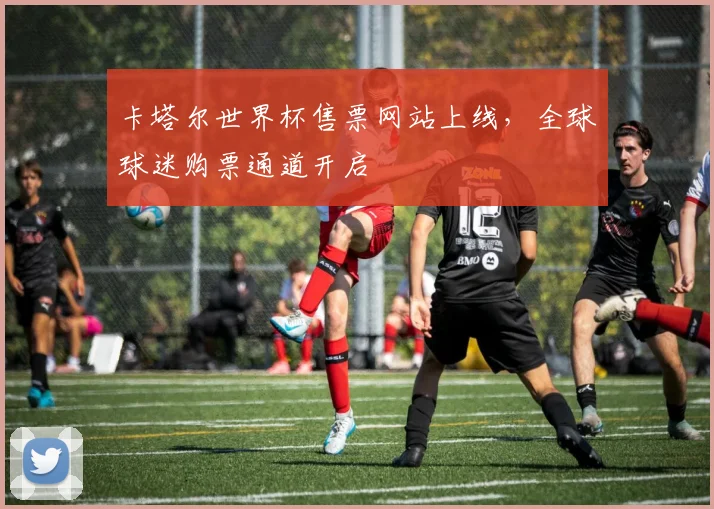 卡塔尔世界杯售票网站上线，全球球迷购票通道开启