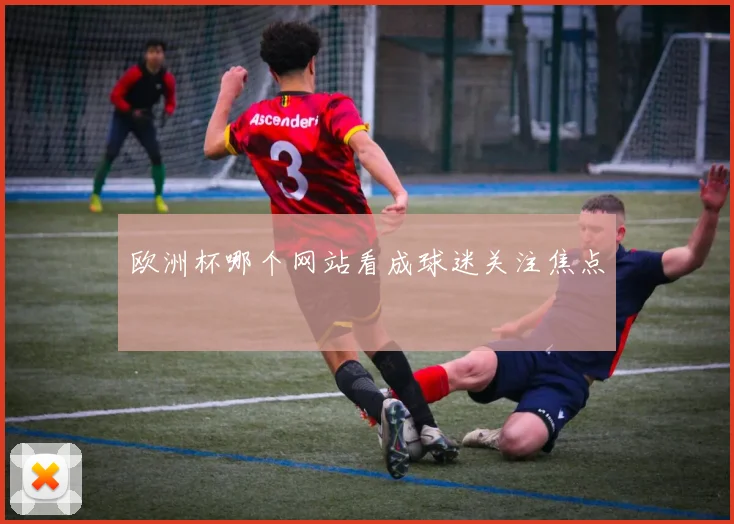 欧洲杯哪个网站看成球迷关注焦点