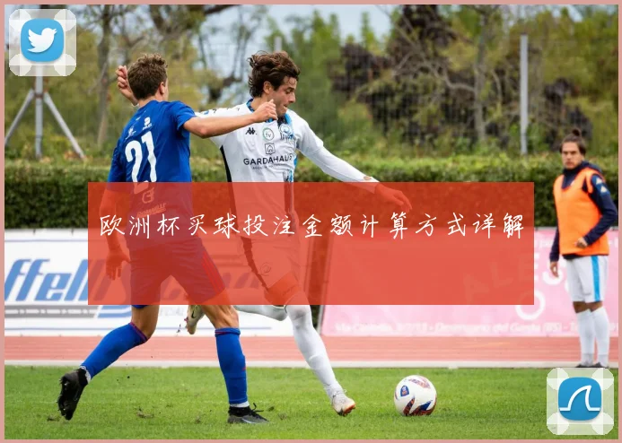 欧洲杯买球投注金额计算方式详解